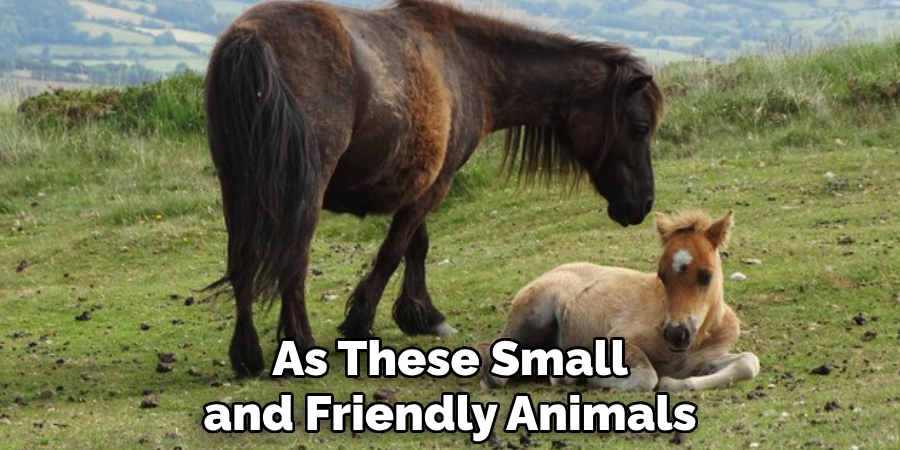 As These Small and Friendly Animals