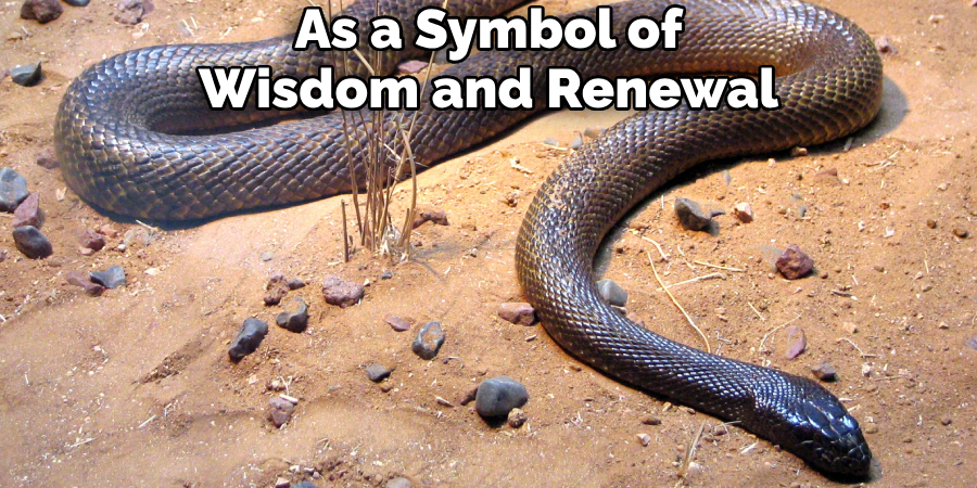 As a Symbol of Wisdom and Renewal