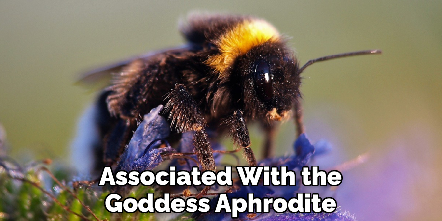 Associated With the Goddess Aphrodite
