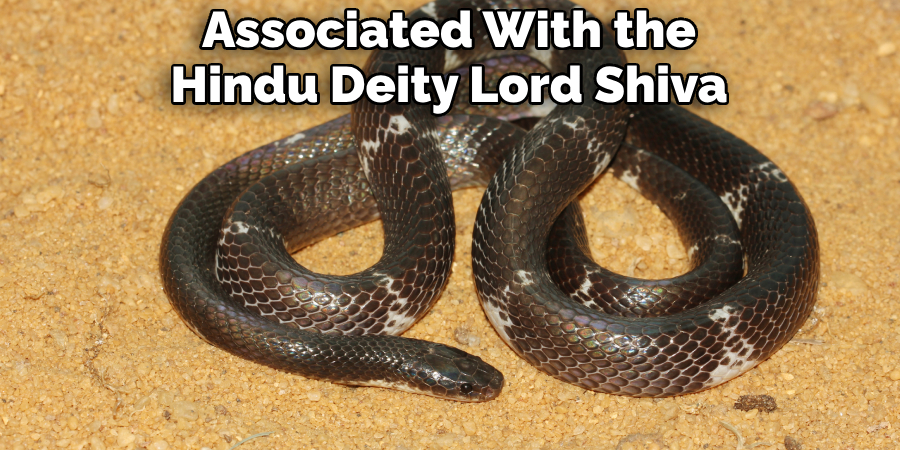 Associated With the Hindu Deity Lord Shiva
