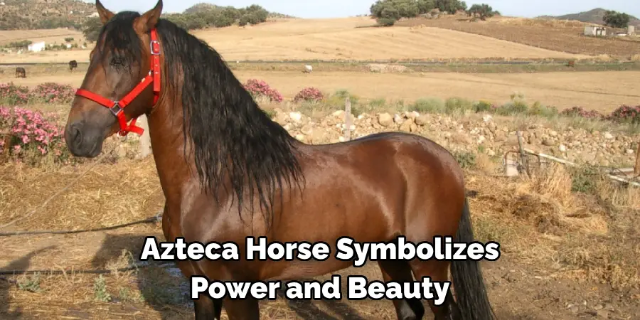 Azteca Horse Symbolizes 
Power and Beauty 