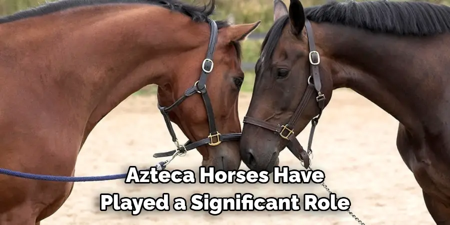 Azteca Horses Have 
Played a Significant Role