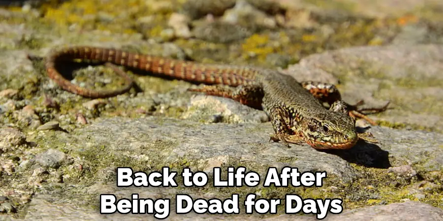 Back to Life After Being Dead for Days