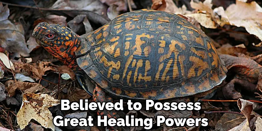 Believed to Possess Great Healing Powers