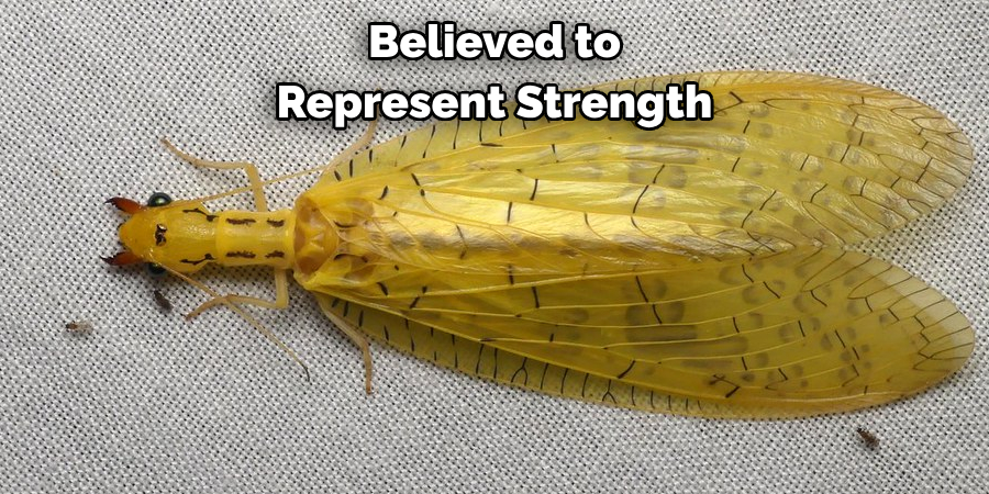 Believed to Represent Strength