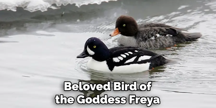 Beloved Bird of the Goddess Freya