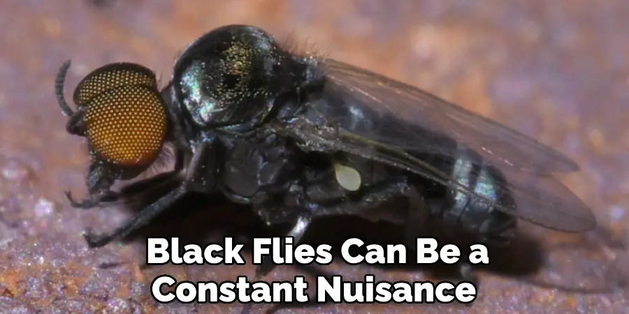  Black Flies Can Be a Constant Nuisance