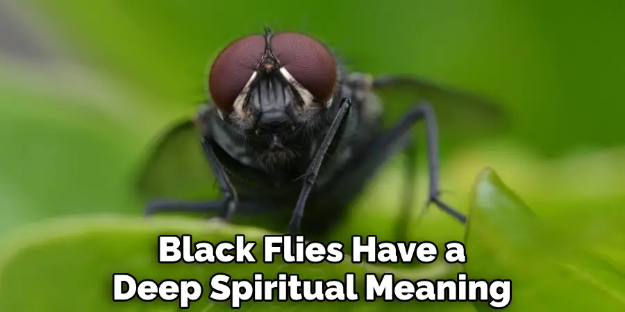 Black Flies Have a Deep Spiritual Meaning