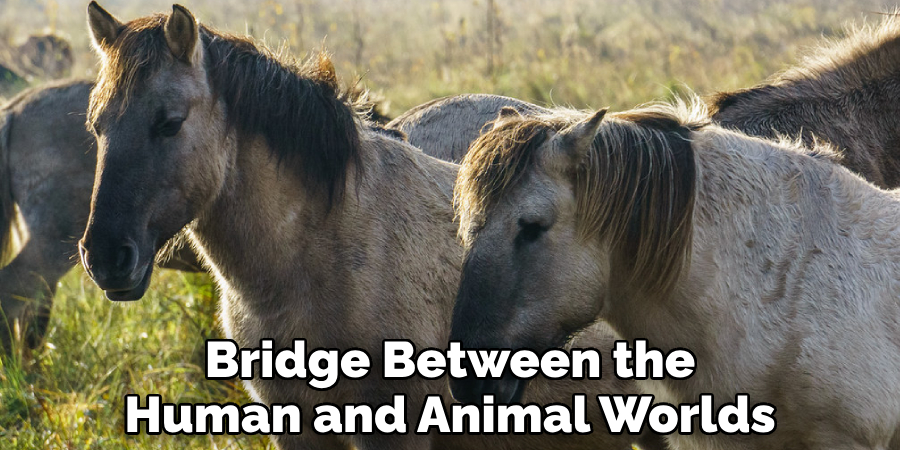 Bridge Between the Human and Animal Worlds