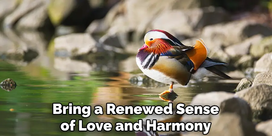 Bring a Renewed Sense of Love and Harmony