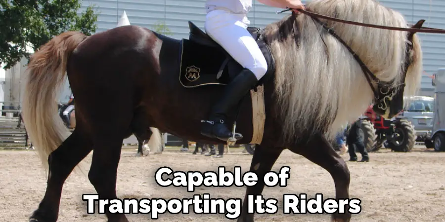 Capable of Transporting Its Riders