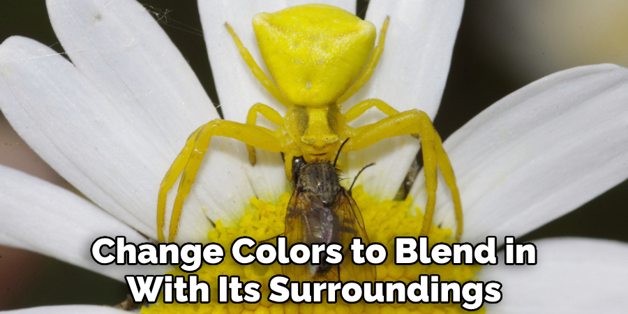 Change Colors to Blend in
With Its Surroundings