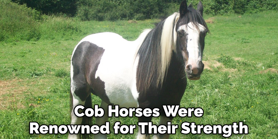 Cob Horses Were Renowned for Their Strength
