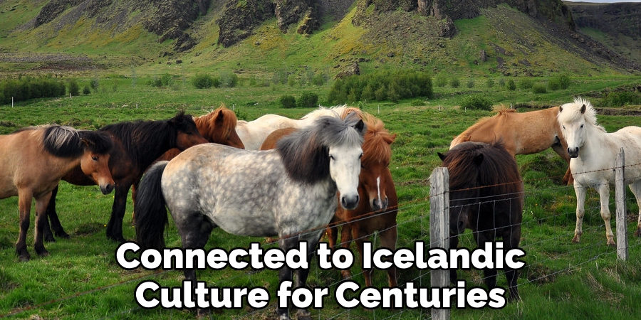 Connected to Icelandic
Culture for Centuries