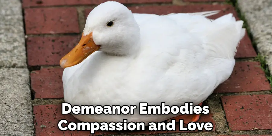 Demeanor Embodies Compassion and Love