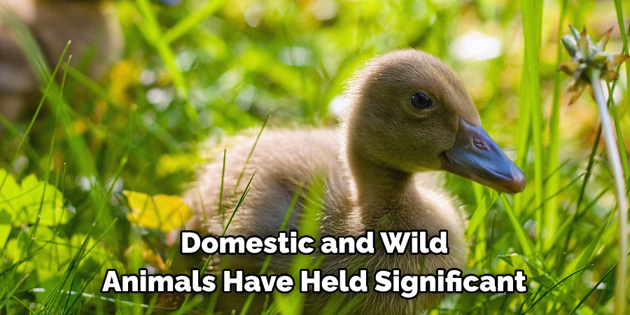 Domestic and Wild 
Animals Have Held Significant 