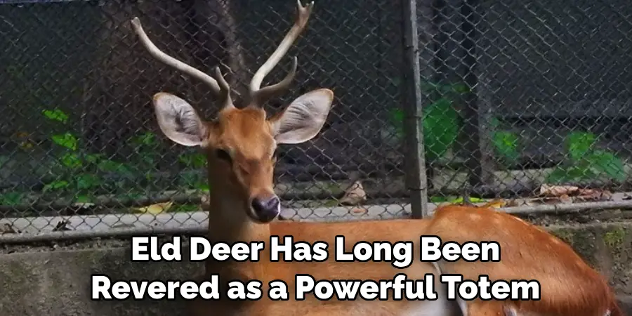 Eld Deer Has Long Been 
Revered as a Powerful Totem
