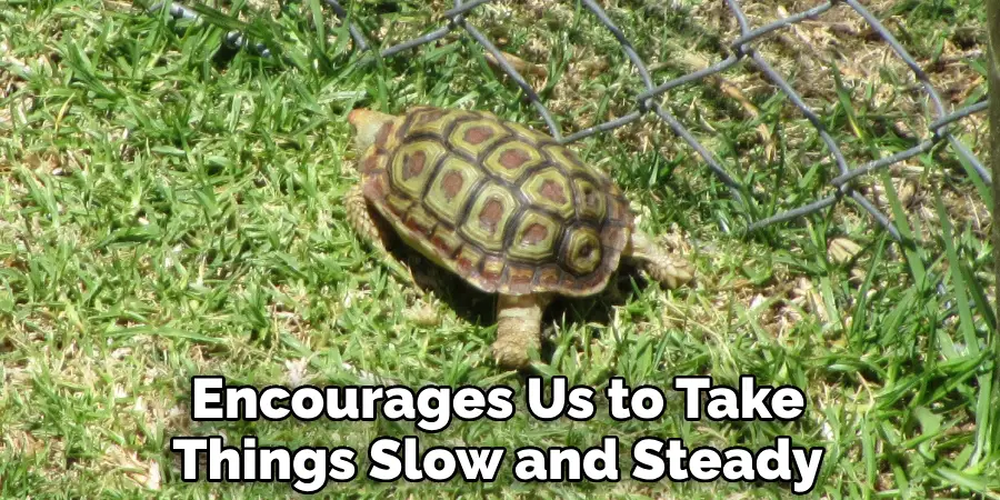 Encourages Us to Take Things Slow and Steady