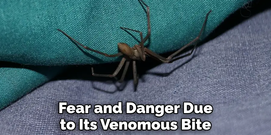 Fear and Danger Due
to Its Venomous Bite