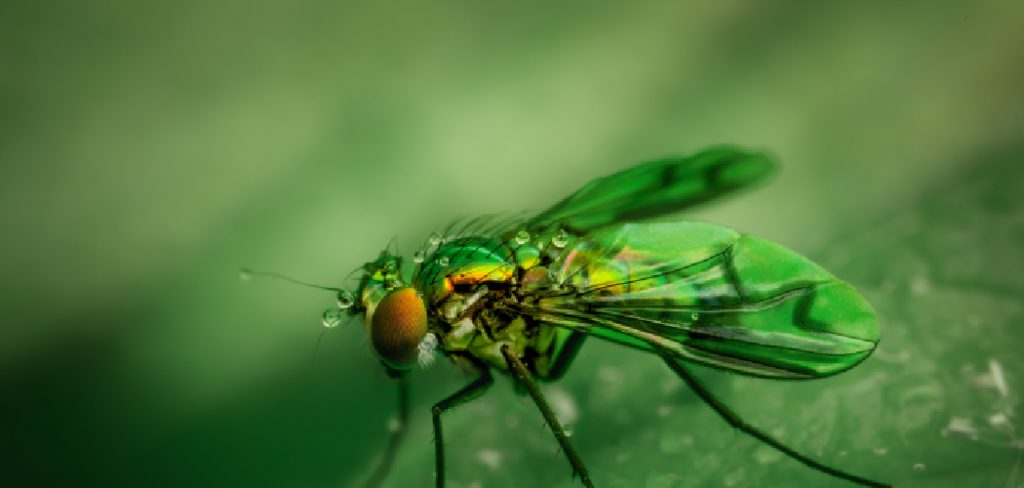 Greenfly Spiritual Meaning