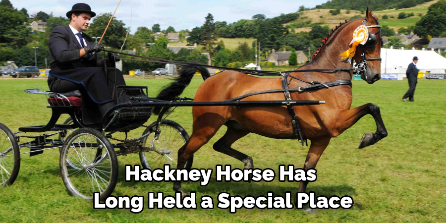 Hackney Horse Has 
Long Held a Special Place
