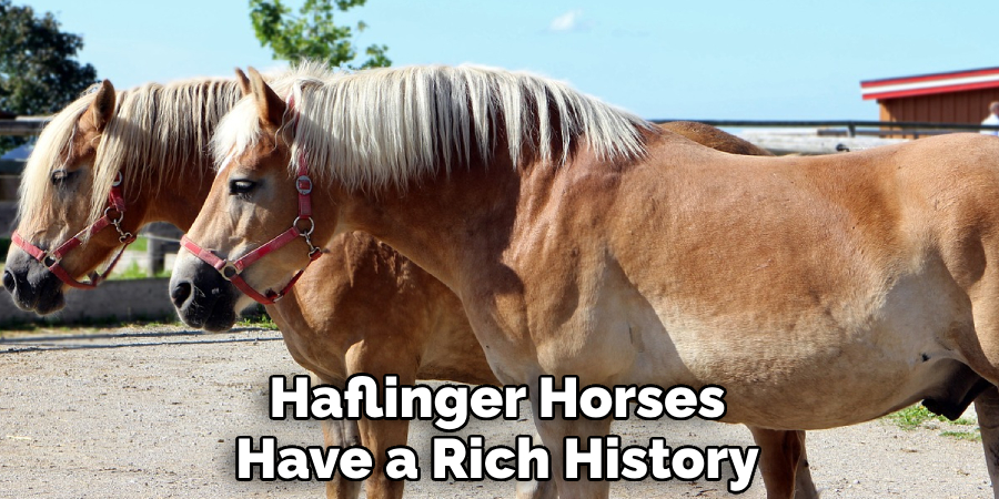 Haflinger Horses Have a Rich History