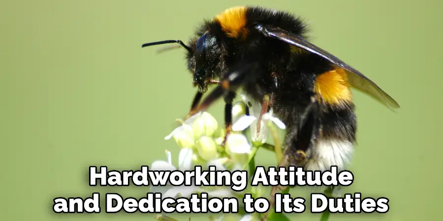 Hardworking Attitude
and Dedication to Its Duties