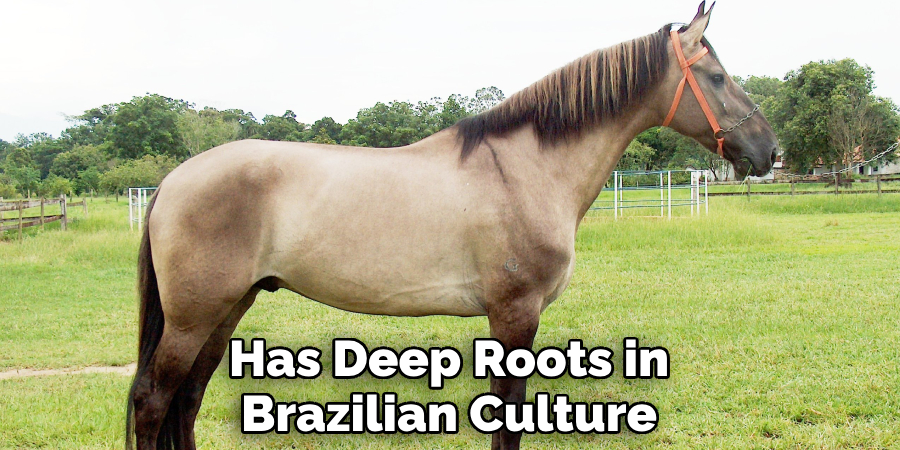 Has Deep Roots in Brazilian Culture