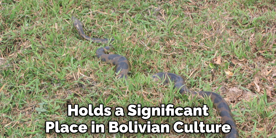 Holds a Significant Place in Bolivian Culture