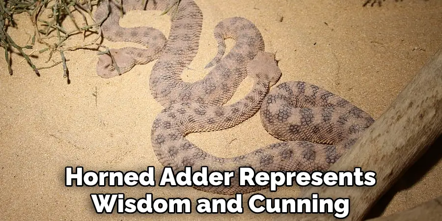 Horned Adder Represents Wisdom and Cunning
