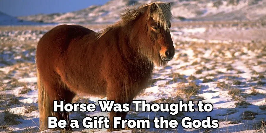 Horse Was Thought to Be a Gift From the Gods