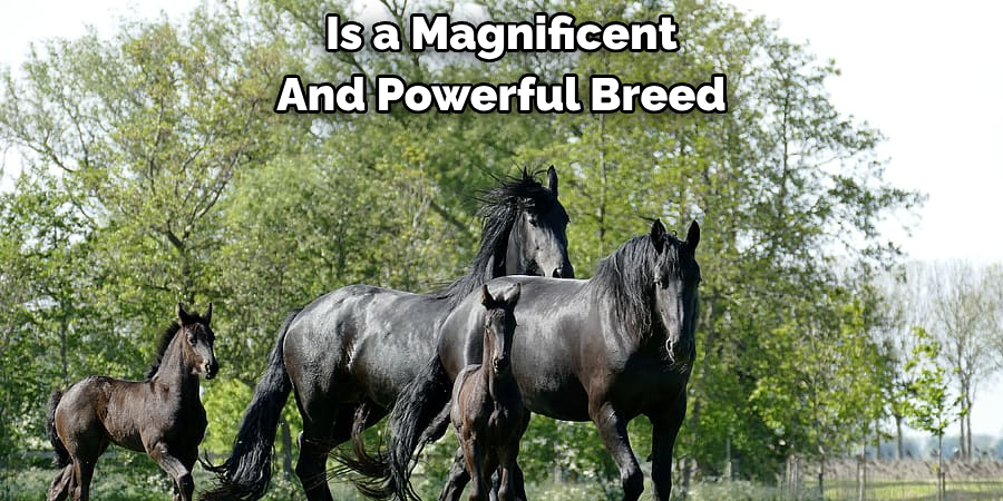 Is a Magnificent 
And Powerful Breed