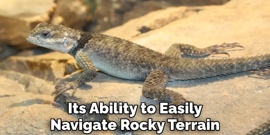 Its Ability to Easily Navigate Rocky Terrain