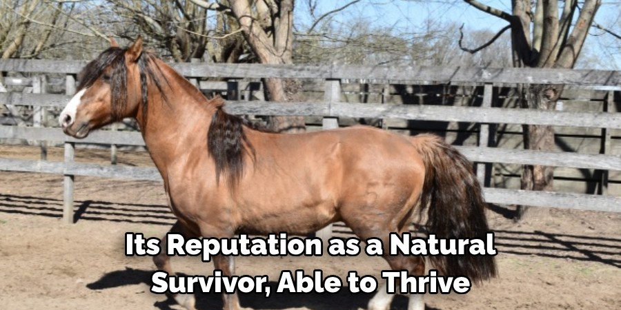 Its Reputation as a Natural 
Survivor, Able to Thrive