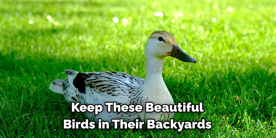 Keep These Beautiful 
Birds in Their Backyards