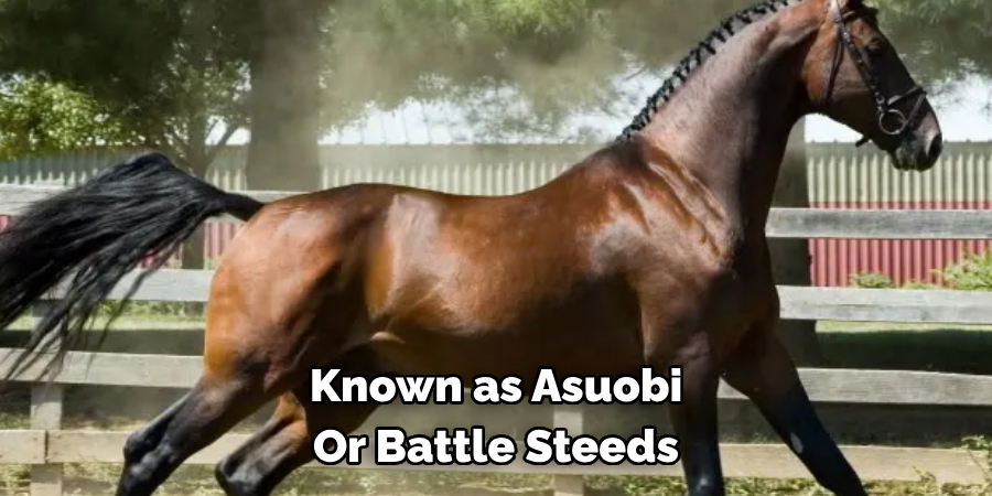 Known as Asuobi, 
Or Battle Steeds