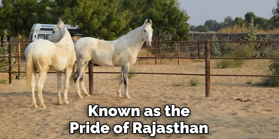 Known as the
Pride of Rajasthan