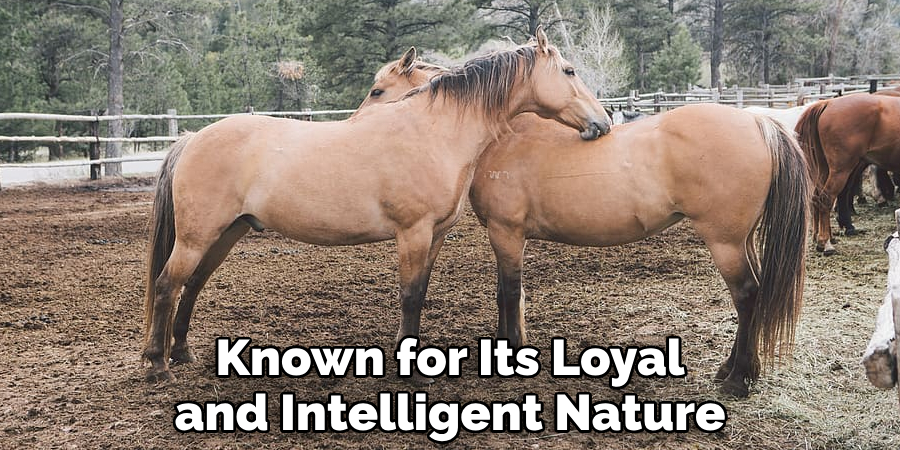 Known for Its Loyal and Intelligent Nature