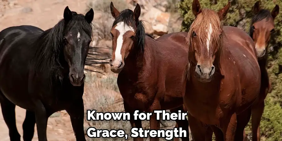 Known for Their 
Grace, Strength