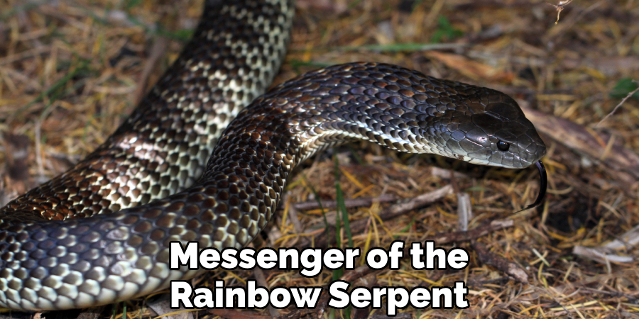 Messenger of the Rainbow Serpent
