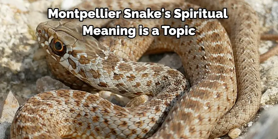 Montpellier Snake's Spiritual 
Meaning is a Topic 
