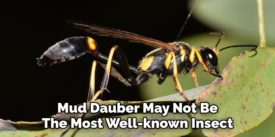 Mud Dauber May Not Be 
The Most Well-known Insect
