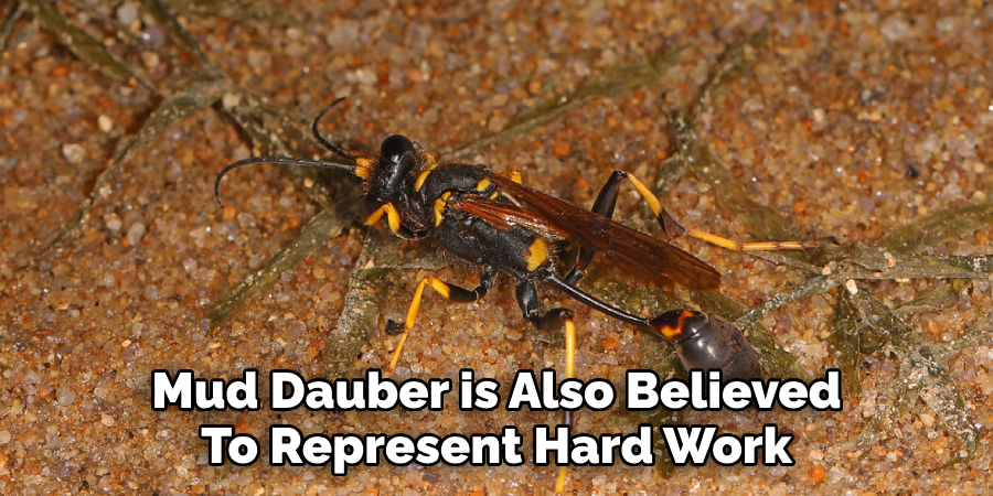 Mud Dauber is Also Believed To Represent Hard Work