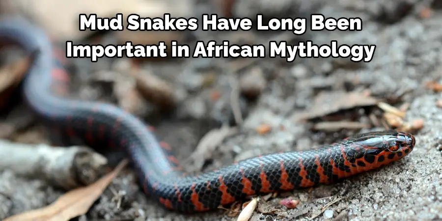 Mud Snakes Have Long Been 
Important in African Mythology