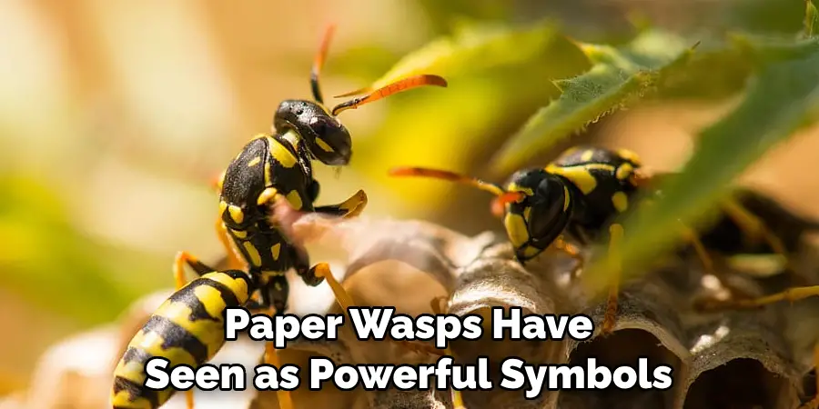 Paper Wasps Have 
Seen as Powerful Symbols