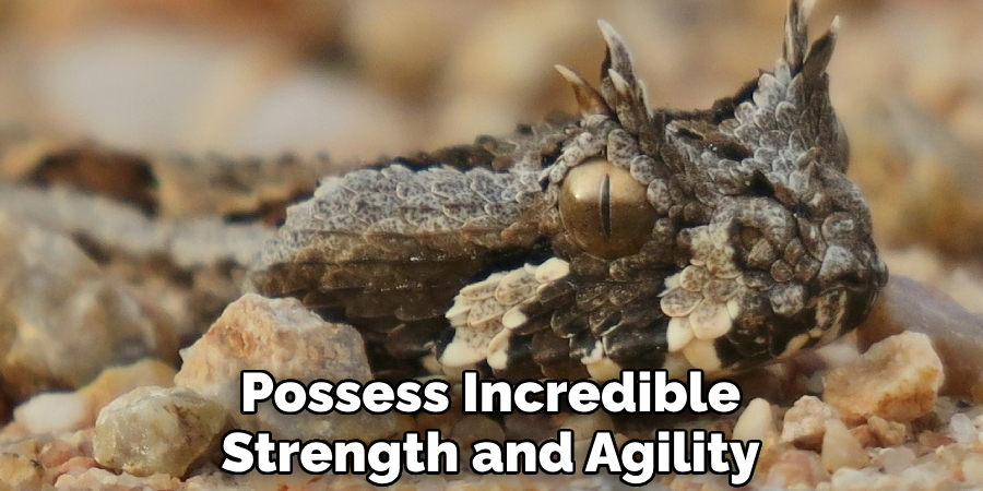 Possess Incredible Strength and Agility