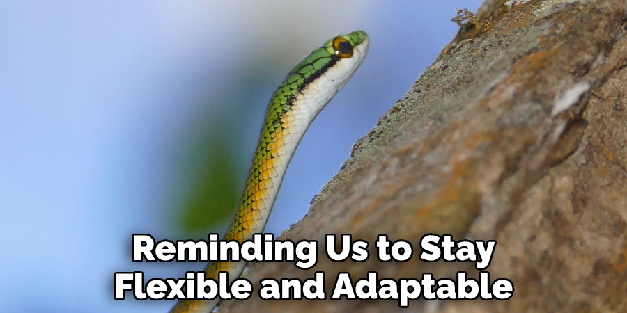 Reminding Us to Stay Flexible and Adaptable