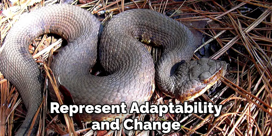 Represent Adaptability and Change