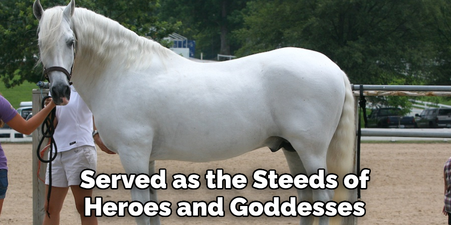 Served as the Steeds of Heroes and Goddesses