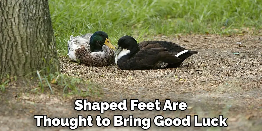 Shaped Feet Are Thought to Bring Good Luck